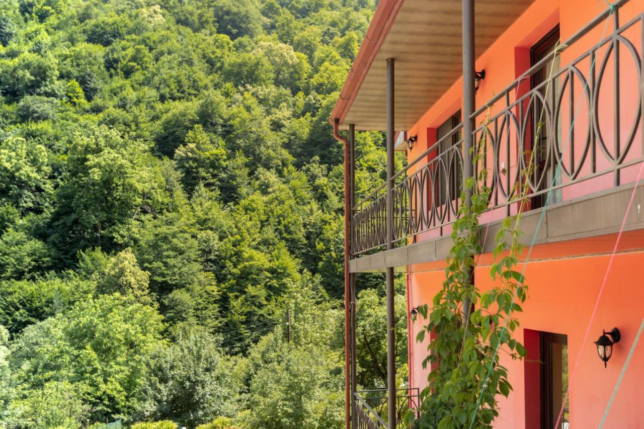 Ariana Family Hotel Dilidzjan Buitenkant foto