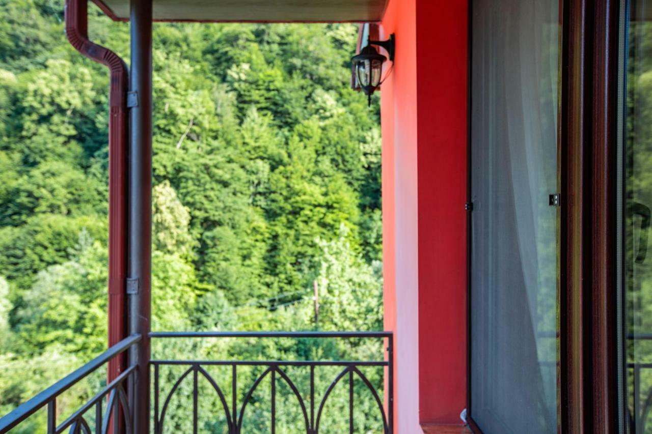 Ariana Family Hotel Dilidzjan Buitenkant foto