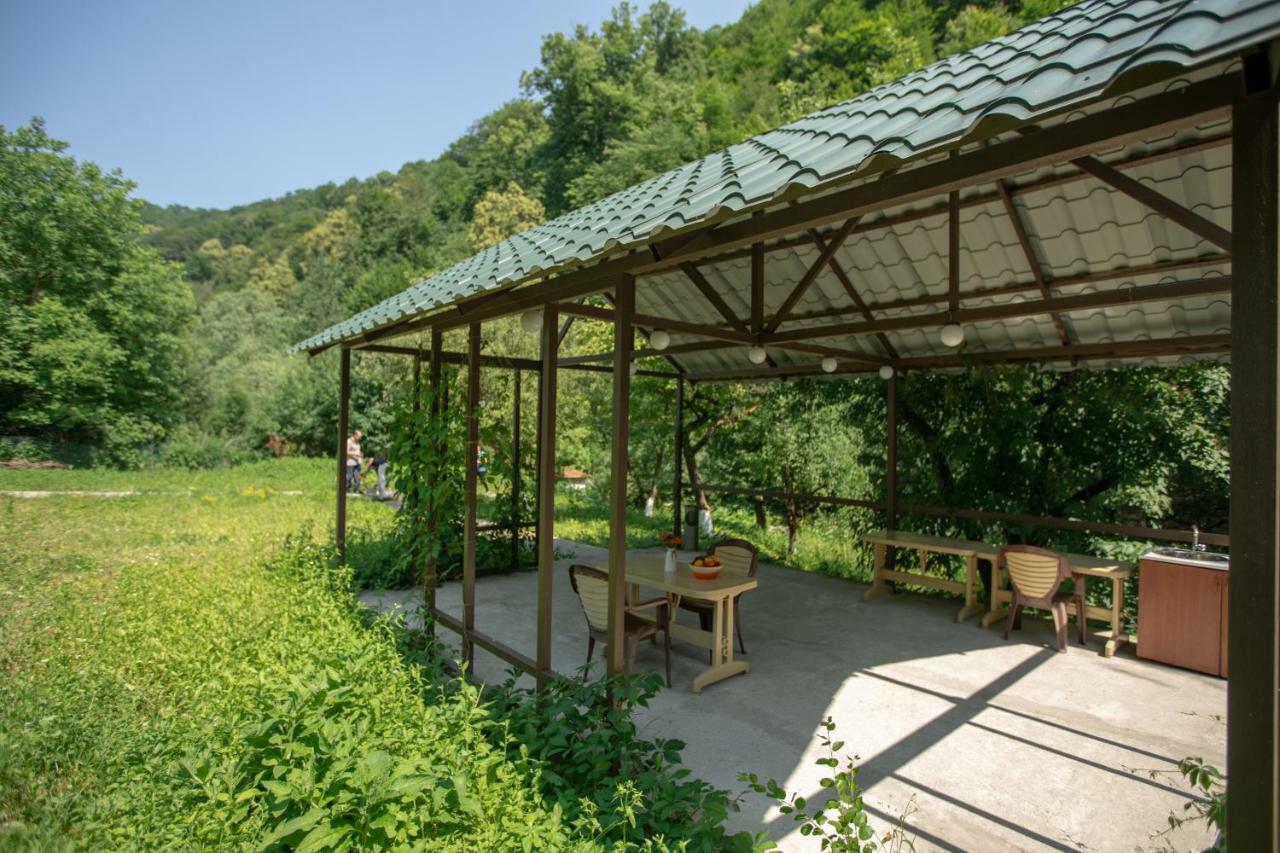 Ariana Family Hotel Dilidzjan Buitenkant foto